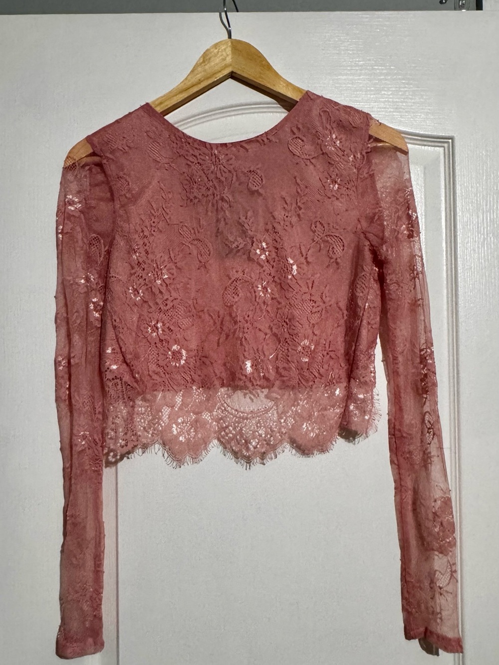 Lace Floral Long-Sleeve Mesh Crop Top Missguided Feminine Romantic - Dusty Rose